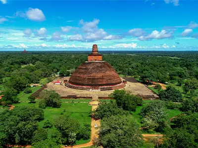 Falcon Ceylon Tours
