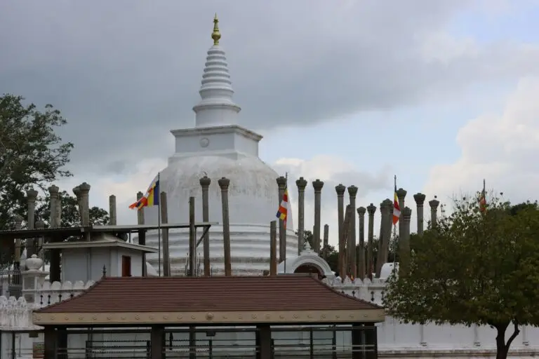 Falcon Ceylon Tours