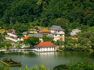 Falcon Ceylon Tours