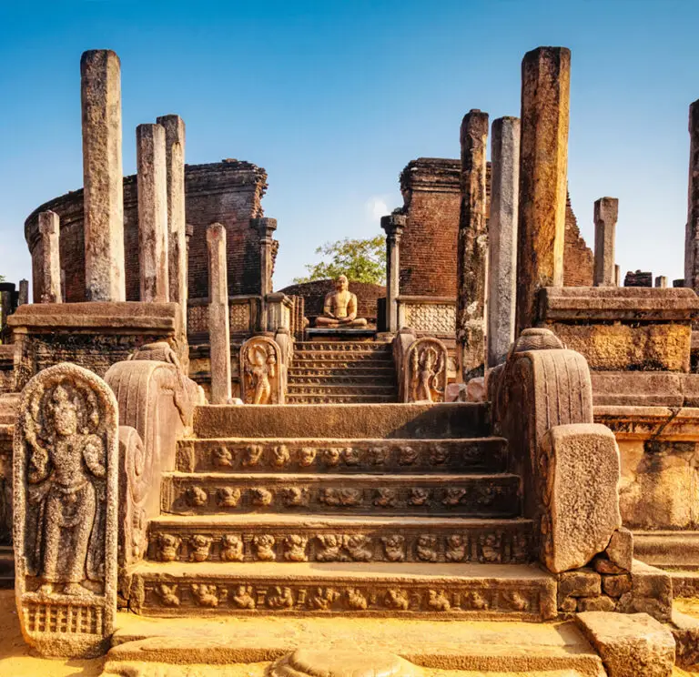 Falcon Ceylon Tours