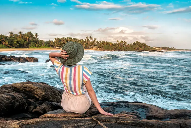Falcon Ceylon Tours