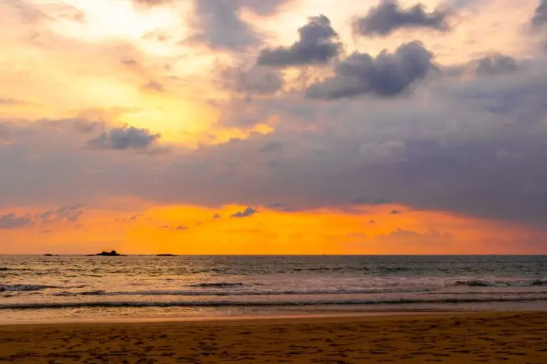 Falcon Ceylon Tours