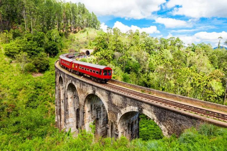Falcon Ceylon Tours