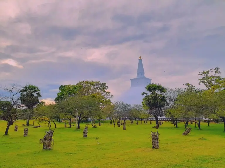Falcon Ceylon Tours