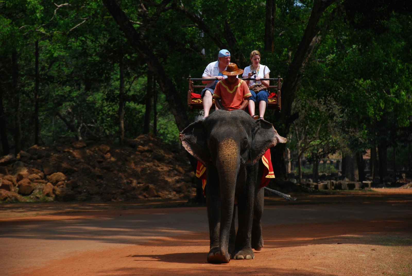 Falcon Ceylon Tours