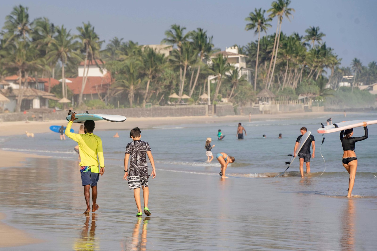 Falcon Ceylon Tours