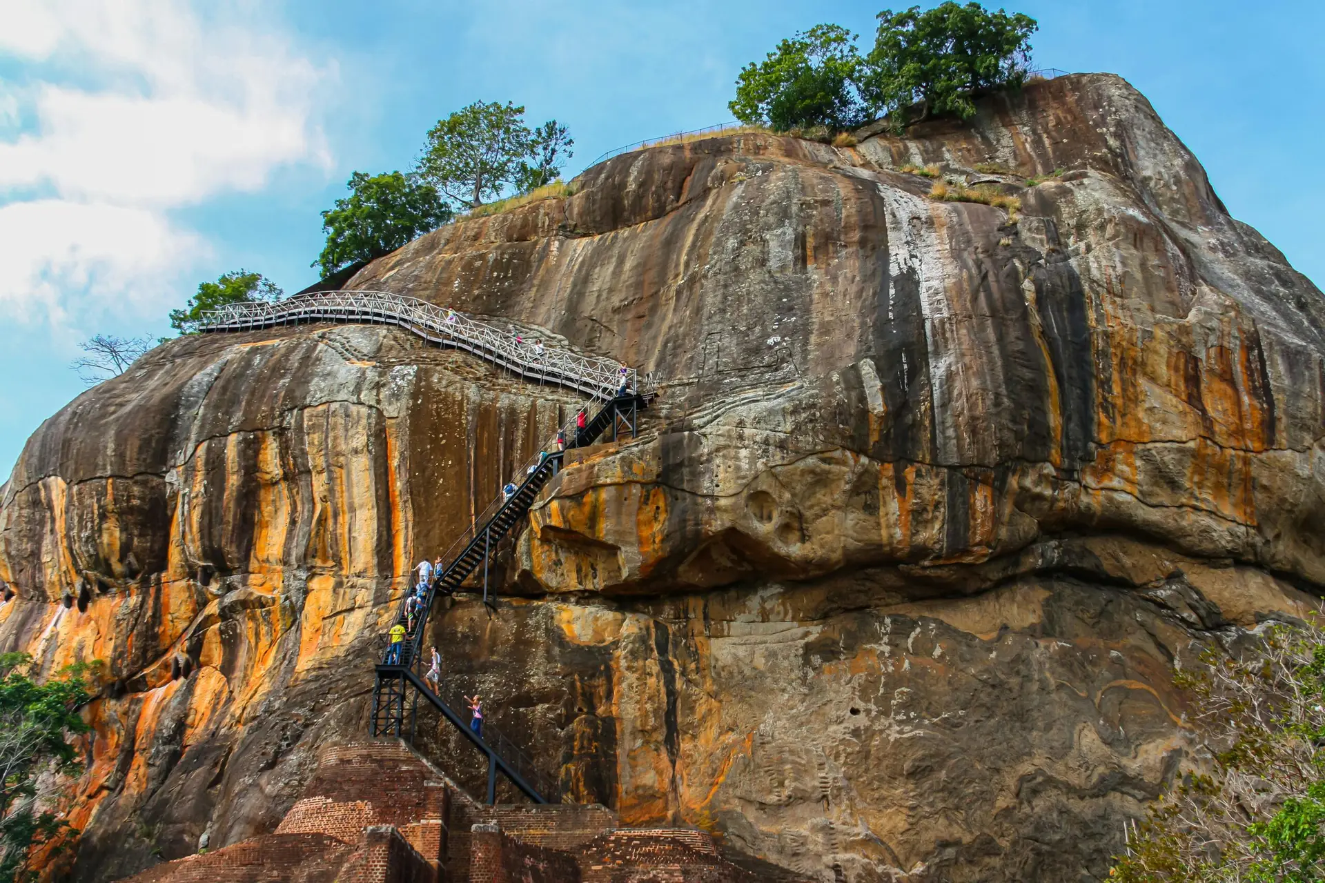 Falcon Ceylon Tours