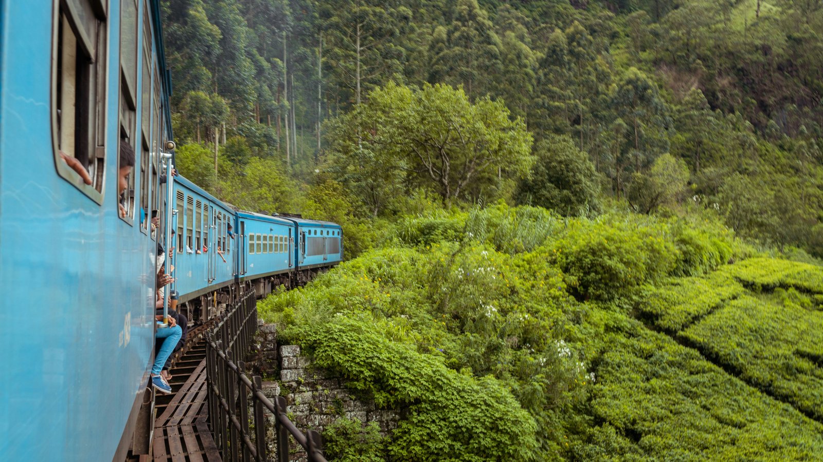 Falcon Ceylon Tours