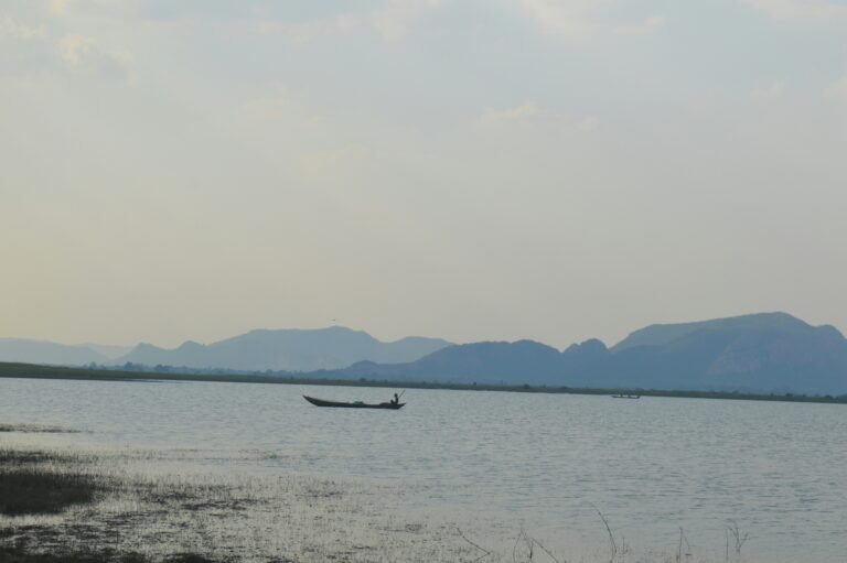 prakash-shekhar-HK7AkU5WfI4-unsplash