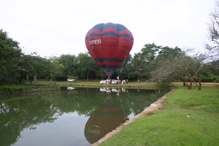 Falcon Ceylon Tours