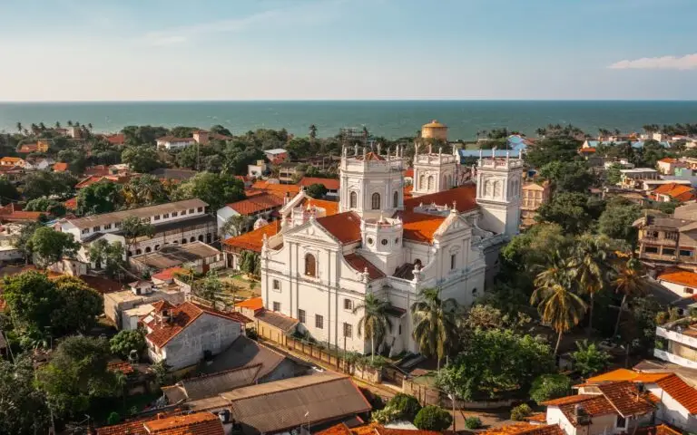 Falcon Ceylon Tours