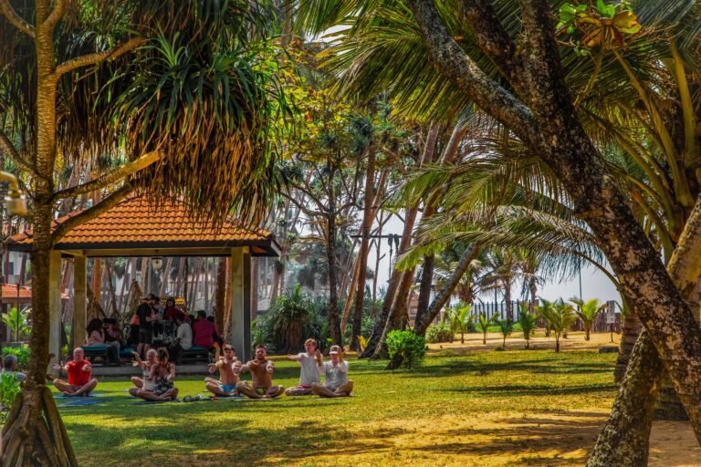 Falcon Ceylon Tours