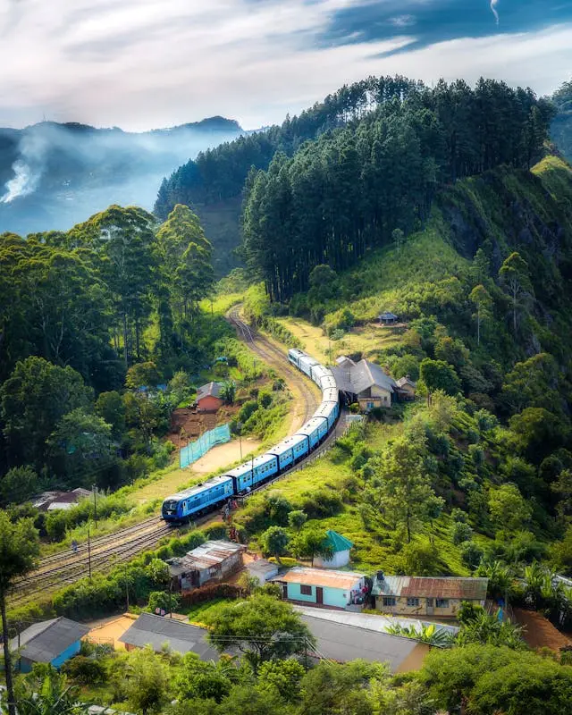 Falcon Ceylon Tours